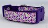 Butterflies dog collar handmade adjustable buckle collar 1" wide or leash Petcollarshandmade