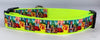 Wizard of Oz dog collar handmade adjustable buckle collar 1" wide or leash Petcollarshandmade