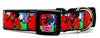 Clifford dog collar handmade adjustable buckle collar 1" wide or leash cartoon Petcollarshandmade