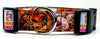 Dunkin Donuts dog collar handmade adjustable buckle collar 1" wide or leash Petcollarshandmade