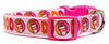 Dunkin Donuts Dog collar handmade adjustable buckle 5/8" & 1/2" wide or leash Petcollarshandmade