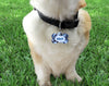 Camo dog collar handmade adjustable buckle collar 5/8" wide or leash fabric Petcollarshandmade