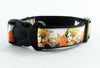 Mars Attack dog collar adjustable buckle collar 1" wide or leash Petcollarshandmade