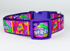 Nerds Candy dog collar handmade adjustable buckle collar 1" wide or leash Petcollarshandmade