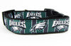 Eagles dog collar handmade adjustable buckle collar football 1" wide or leash Petcollarshandmade