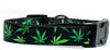 Weed Herbs dog collar handmade adjustable buckle collar 1" or 5/8" wide or leash Petcollarshandmade
