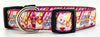 Care Bears dog collar handmade adjustable buckle collar 1" wide or leash Petcollarshandmade