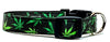 Weed/Herbs dog collar handmade adjustable buckle collar 5/8" wide or leash Petcollarshandmade