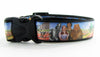Wizard of Oz dog collar handmade adjustable buckle 1" or 5/8" wide or leash Petcollarshandmade
