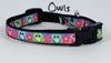 Owls cat or small dog collar 1/2" wide adjustable buckle handmade bell or leash - Petcollarshandmades