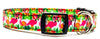 Pink Flamingo Dog collar handmade adjustable buckle 5/8" wide or leash Petcollarshandmade