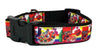 Fruit Loops dog collar handmade adjustable buckle collar 1" wide or leash - Petcollarshandmades