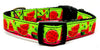Watermelon dog collar handmade adjustable buckle collar 5/8" wide or leash Petcollarshandmade