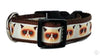 Grumpy Cat dog collar handmade adjustable buckle collar 1" wide or leash $6 - Petcollarshandmades