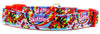 Skittles dog collar handmade adjustable buckle collar 5/8" wide or leash Petcollarshandmade