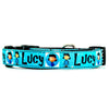 Lucy dog collar handmade adjustable buckle collar 5/8" wide or leash Petcollarshandmade
