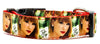 Taylor Swift dog collar Handmade adjustable buckle 1" or 5/8" wide Country Pop Petcollarshandmade