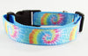 Tie Dye dog collar handmade adjustable buckle collar 1" wide or leash Petcollarshandmade