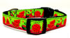 Watermelon dog collar handmade adjustable buckle collar 5/8" wide or leash Petcollarshandmade
