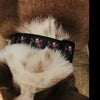 Chucky dog collar, handmade, adjustable, buckle collar,1" wide, leash - Petcollarshandmades