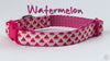 Watermelon dog collar handmade adjustable buckle collar 5/8" wide or leash Petcollarshandmade