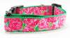 Roses dog collar handmade adjustable buckle collar 1" wide pink or leash Petcollarshandmade