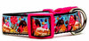Ice Cream dog collar handmade adjustable buckle collar 1" wide or leash Petcollarshandmade