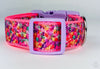 Valentine hearts dog collar handmade adjustable buckle collar 1"wide or leash - Petcollarshandmades