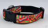 Skittles dog collar Handmade adjustable buckle collar 1" wide or leash Petcollarshandmade