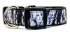 Dolly Parton dog collar handmade adjustable buckle 1" or 5/8" wide or leash Petcollarshandmade