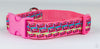 Skittles dog collar Handmade adjustable buckle collar 1" wide or leash pink Petcollarshandmade