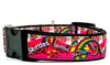 Skittles dog collar Handmade adjustable buckle collar 1" or 5/8" wide or leash Petcollarshandmade