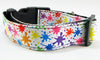 Splatter Paint dog collar handmade adjustable buckle collar 1" wide or leash - Petcollarshandmades