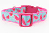 Watermelon dog collar handmade adjustable buckle collar 1" wide or leash Petcollarshandmade