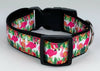 Pink Flamingo dog collar Handmade adjustable buckle collar 1" wide or leash $6 - Petcollarshandmades