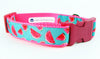 Watermelon dog collar handmade adjustable buckle collar 1" wide or leash Petcollarshandmade
