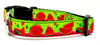 Watermelon dog collar handmade adjustable buckle collar 5/8" wide or leash Petcollarshandmade