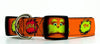 Lorax dog collar handmade adjustable buckle collar 1" or 5/8" wide or leash Petcollarshandmade