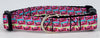 Skittles dog collar handmade adjustable buckle collar 5/8" wide or leash Petcollarshandmade