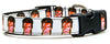 David Bowie dog collar handmade adjustable buckle collar 5/8" wide or leash - Petcollarshandmades