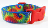 Rainbow Tie Dye dog collar handmade adjustable buckle 1" or 5/8" wide or leash Petcollarshandmade