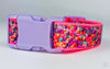 Valentine hearts dog collar handmade adjustable buckle collar 1"wide or leash - Petcollarshandmades