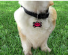 SF 49ers dog collar handmade adjustable buckle football 1" or 5/8" wide or leash Petcollarshandmade