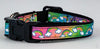 Rainbow Glitter cat or small dog collar 1/2" wide adjustable handmade bell or leash Petcollarshandmade