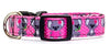 Koala Bear dog collar handmade adjustable buckle collar 5/8" wide or leash Petcollarshandmade