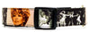 Tina Turner dog collar Handmade adjustable buckle 1"wide or leash Rock N Roll Petcollarshandmade