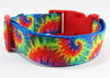 Rainbow Tie Dye dog collar handmade adjustable buckle 1" or 5/8" wide or leash Petcollarshandmade