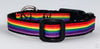 Rainbow Pride cat or small dog collar 1/2"wide adjustable handmade bell or leash Petcollarshandmade