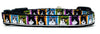 Kitties cat or small dog collar 1/2" wide adjustable handmade bell or leash Petcollarshandmade