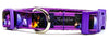 Rock Star dog collar handmade adjustable buckle collar 5/8" wide or leash Petcollarshandmade